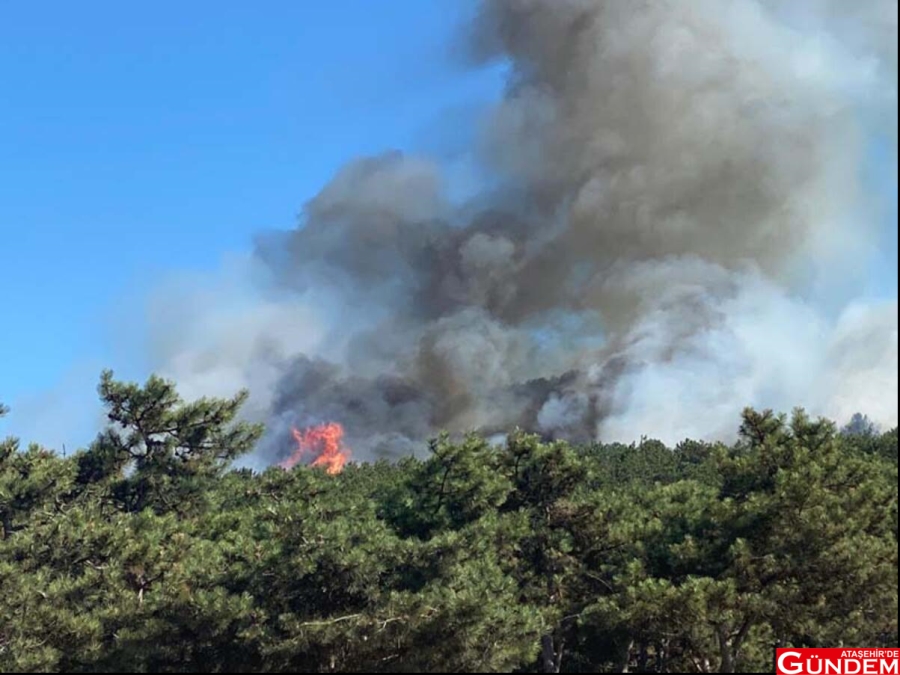 ORMANLIK ALANDAKİ YANGIN KORKUTTU! ATAŞEHİR'DE GÜNDEM YANGIN KAYIŞDAĞI
